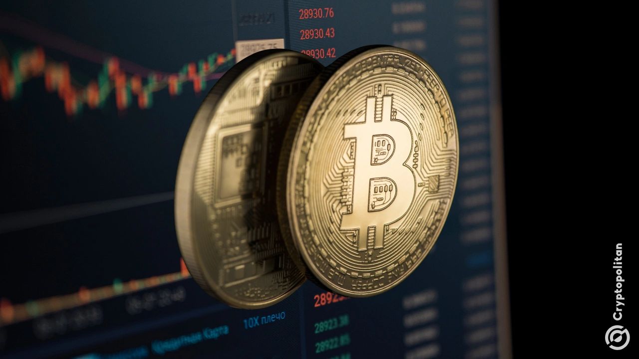 金年会app比特币上扬势惊人，一夜飙升412%，加密市场沸腾