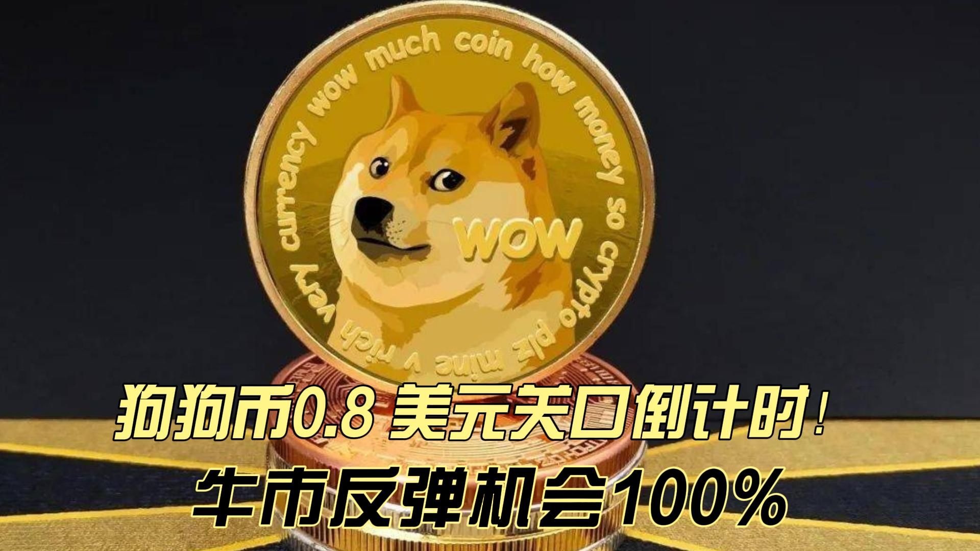 关于SHIB突遭安全漏洞，流失高达狗狗币万美元的信息
