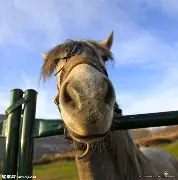 马斯克再次发推,XRP瞬间上上扬OKX%! 马斯克再次发推,XRP瞬间上上扬OKX%!